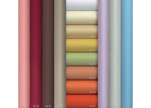 Trapunta Invernale Disegno Nadir In Tinta Unita Double Face Imbottitura 90% Piumino 10% Piumette - 1 Piazza - Var. 4 Azzurro