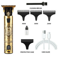 TAGLIA CAPELLI PROFESSIONALE REGOLA BARBA RASOIO ELETTRICO 3 PETTINI USB Q-LF71X