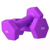 Set 2 Manubri 2x2 kg Esagonali e Antiscivolo per Casa e Palestra, in Metallo e Plastica, 16x7.5x7.5 cm, Viola