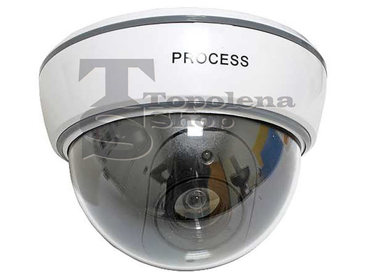 TELECAMERA VIDEOSORVEGLIANZA LED FINTA  DAY/NIGHT DI SICUREZZA DUMMY CAMERA