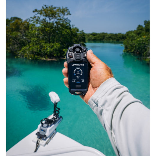 TELECOMANDO FREESTER LOWRANCE