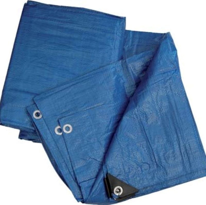 TELONE OCCHIELLATO PE BLU - 3X4 mt 