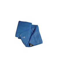 TELONE OCCHIELLATO PE BLU - 4X5 mt