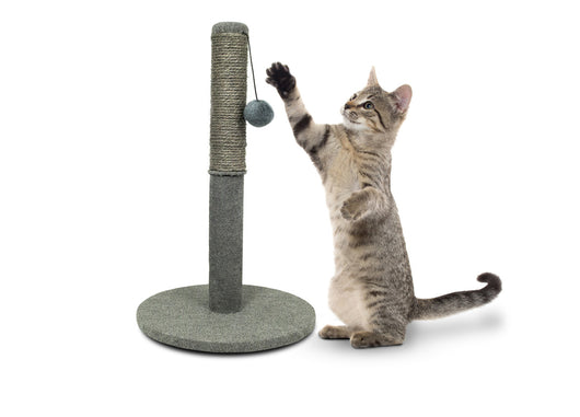 Tiragraffi A Colonna Giocattolo Palestra Per Gatti Modello Cerchio