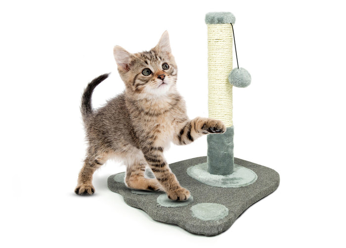 Tiragraffi A Colonna Giocattolo Palestra Per Gatti Modello Zampa