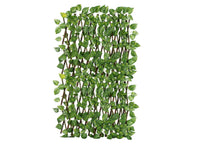 Traliccio Potos Foglie Rampicante Verde Frangivista Recinzione Giardino Balcone 1x2mt