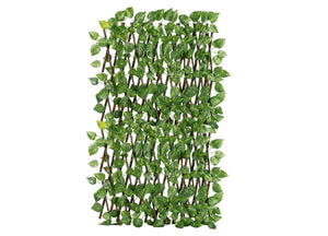 Traliccio Potos Foglie Rampicante Verde Frangivista Recinzione Giardino Balcone 1x2mt