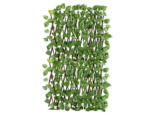 Traliccio Potos Foglie Rampicante Verde Frangivista Recinzione Giardino Balcone 1x2mt