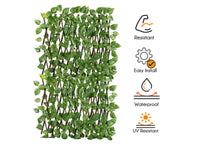 Traliccio Potos Foglie Rampicante Verde Frangivista Recinzione Giardino Balcone 1x2mt