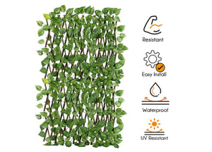 Traliccio Potos Foglie Rampicante Verde Frangivista Recinzione Giardino Balcone 1x2mt