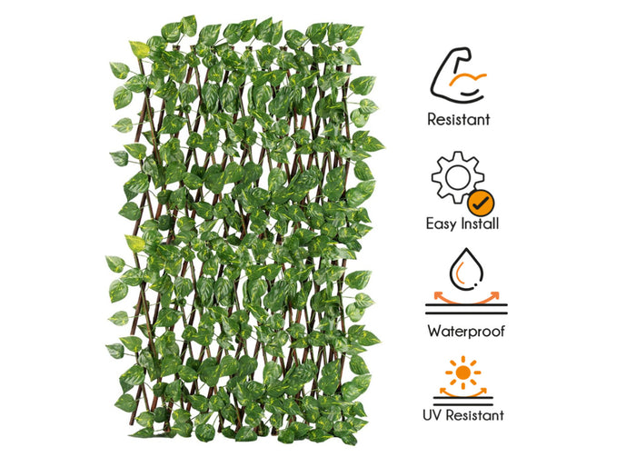 Traliccio Potos Foglie Rampicante Verde Frangivista Recinzione Giardino Balcone 1x2mt