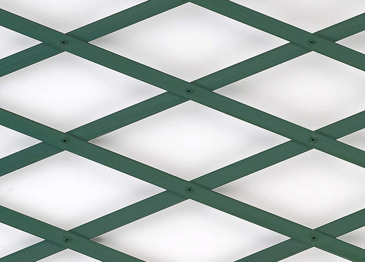 Traliccio Estensibile In PVC Per Piante Rampicanti Recinzione Giardino Balcone - 100x200 - Verde