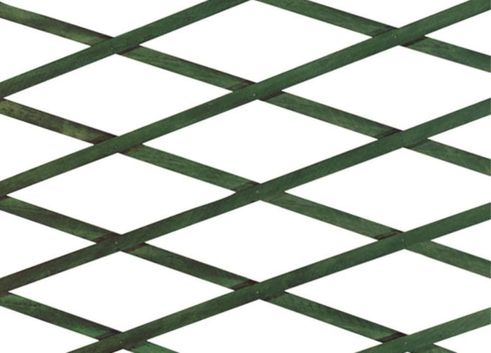 Traliccio Estensibile In Legno Per Piante Rampicanti Recinzione Giardino Balcone - 100x200 - Verde