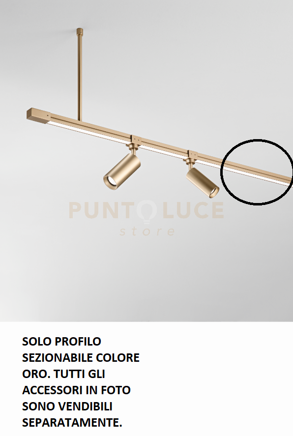 TRUCK PROFILO IN ALLUMINIO 2MT IP65 ORO SEZIONABILE