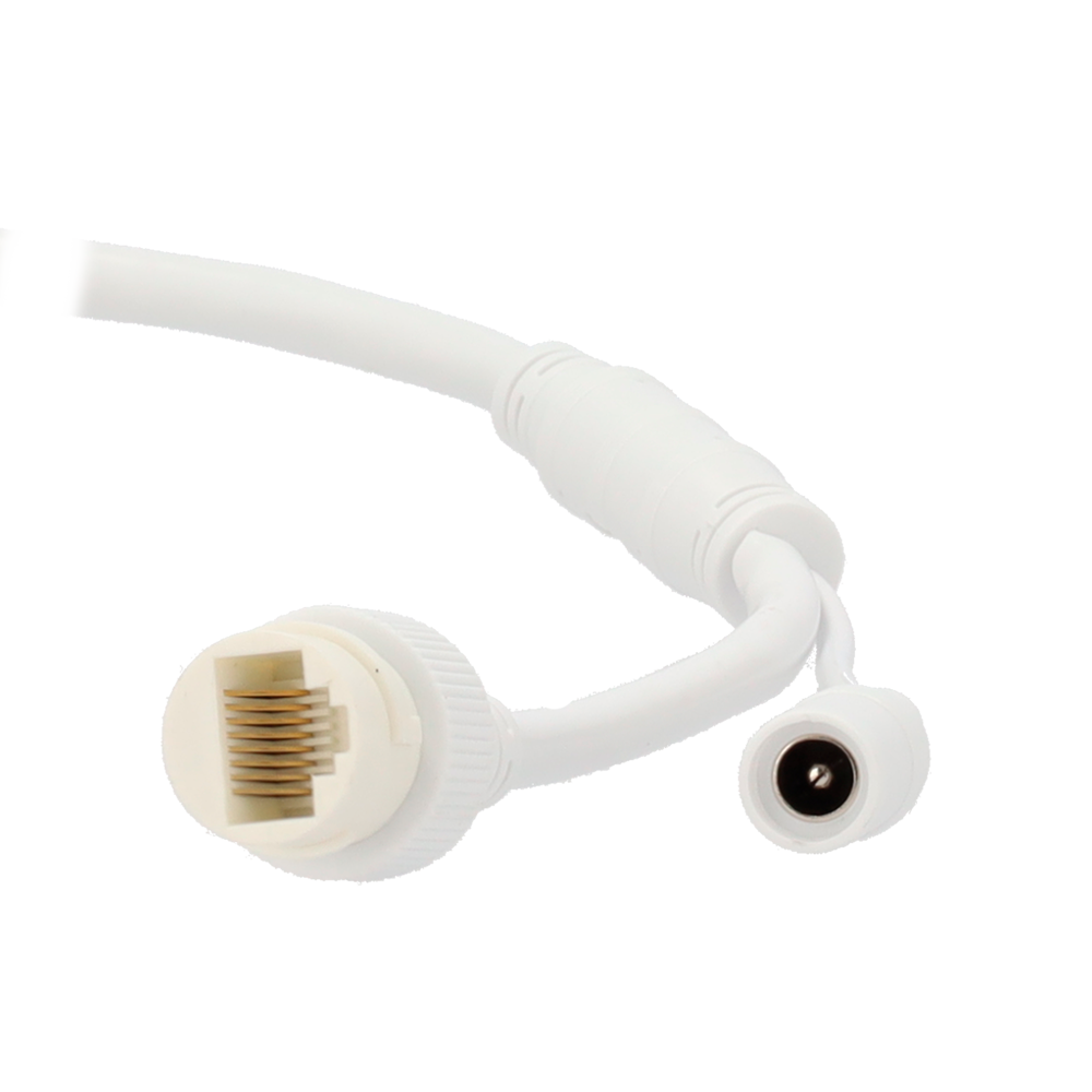 Telecamera 4 MP IP Ottica Fissa Smart Hybrid Light