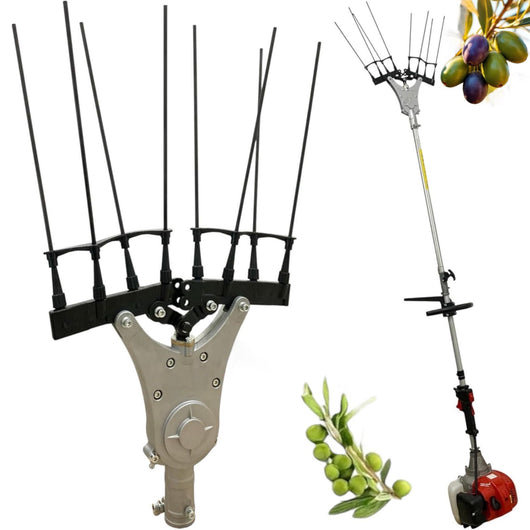 Testa Abbacchiatore Scuoti Olive Universale per Decespugliatore a Scoppio 26mm 9 Denti FY-0626