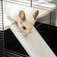 Gabbia per Porcellino d'India con Maniglia, Serbatoio d'Acqua, Rampa e Piatto, 80x48x58cm, Nera