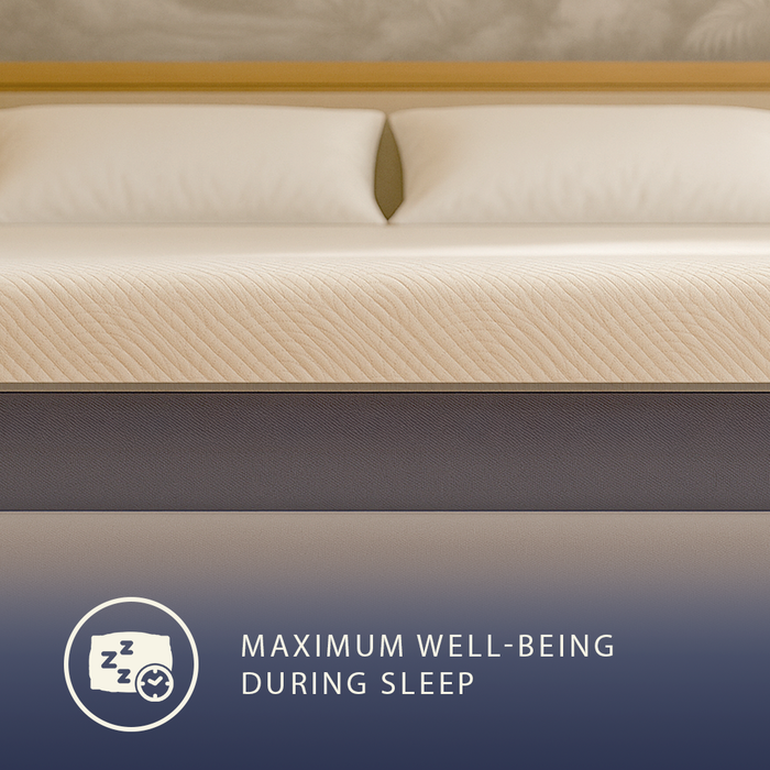 Boreal | Materasso Singolo 90x200 Memory Foam e Waterfoam | Altezza 22 cm | Materasso Ortopedico, Anallergico e Antiacaro | Dispositivo Medico Classe 1 | Sfoderabile e Traspirante