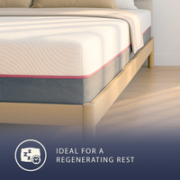 Coral | Materasso con Molle Insacchettate e Memory Foam | Altezza 30 cm | Dispositivo Medico Classe 1 | Ergonomico, Anallergico e Antibatterico | Prodotto Interamente in Italia | 180 x 200 cm