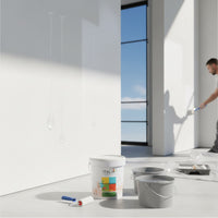 Idropittura acrilsilossanica mediterraneo ponente antimuffa per interni ed esterni *** formato 4 lt, confezione 1