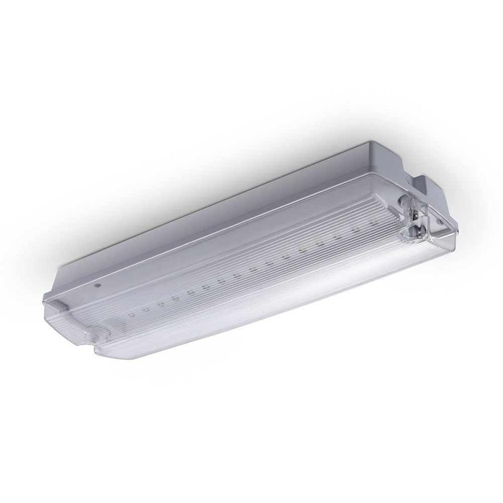 Lampada LED di Emergenza 3W Batteria da 1200mAh per 12 Ore 6000K IP65