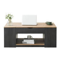 Tavolino da Salotto Sollevabile in MDF con Design Elegante e Spazio di Stoccaggio Integrato, 109,5x59,7x43 cm, Grigio+Marrone