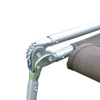 Lettino Prendisole Pieghevole con Schienale Reclinabile e Cuscino, 182x56x24.5 cm, Marrone e Argento