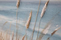 Dipinto Su Tela Beach Cm 100X3,8X100