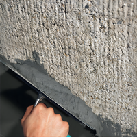 Geomalta minerale tixotropica per ripristino calcestruzzo armato