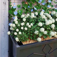 Letto per Orto Rialzato con Traliccio per Piante Rampicanti in Acciaio Zincato, 90x40x120 cm, Nero