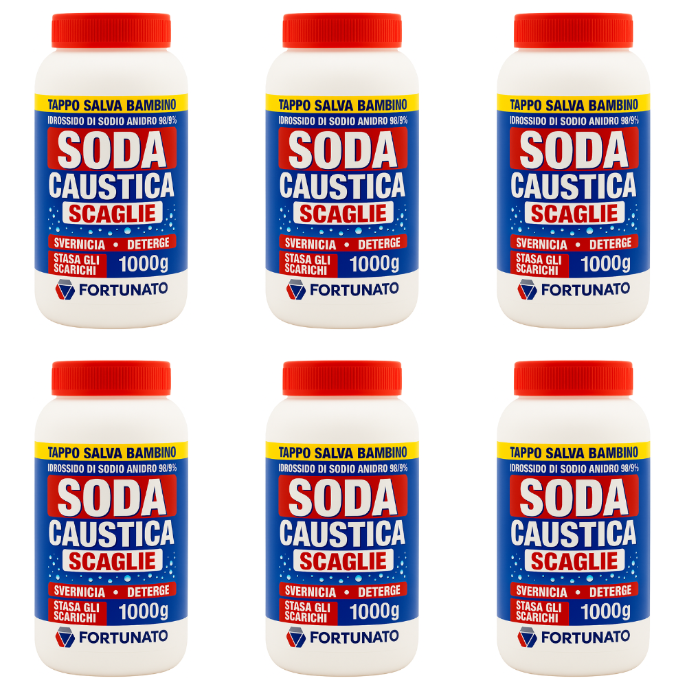 Sgrassatore disincrostante disgorgante soda caustica 1 kg pezzi 6