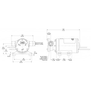 WATER PUPPY 12V - 23680-4003