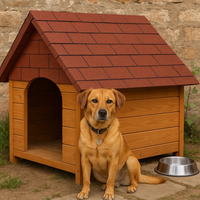 Guaina tegolata cucciasciutta impermeabilizzazione cuccia rosso mattone 3 mq