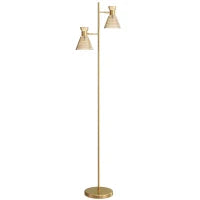 Lampada da Terra Moderna con 2 Luci e Teste Regolabili, Interruttore a Pedale, Oro