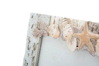 Cornice Shell Cm 25.5X2.3X31.5 (Misura Interna Cm 20X25)