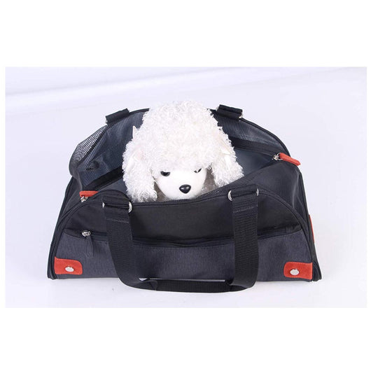 Trasportino borsa per cani e gatti 2 in 1 borsa & tappeto max 5 kg transformer rota