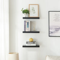 Set Stranda 2 Mensole da Muro 38x17x4 cm Nero [en.casa]