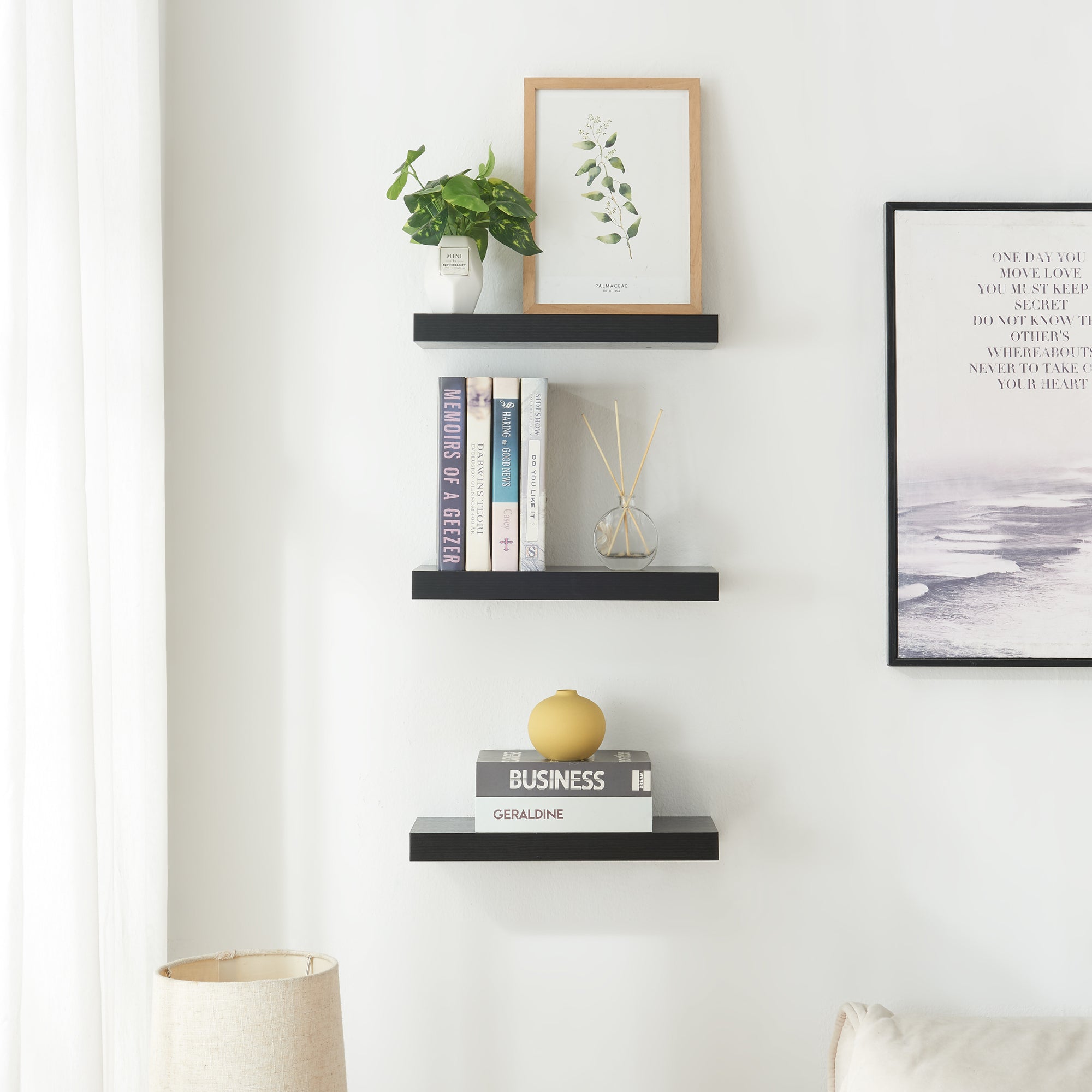 Set Stranda 2 Mensole da Muro 38x17x4 cm Nero [en.casa]