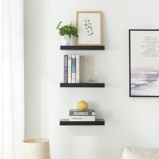 Set Stranda 2 Mensole da Muro 38x17x4 cm Nero [en.casa]