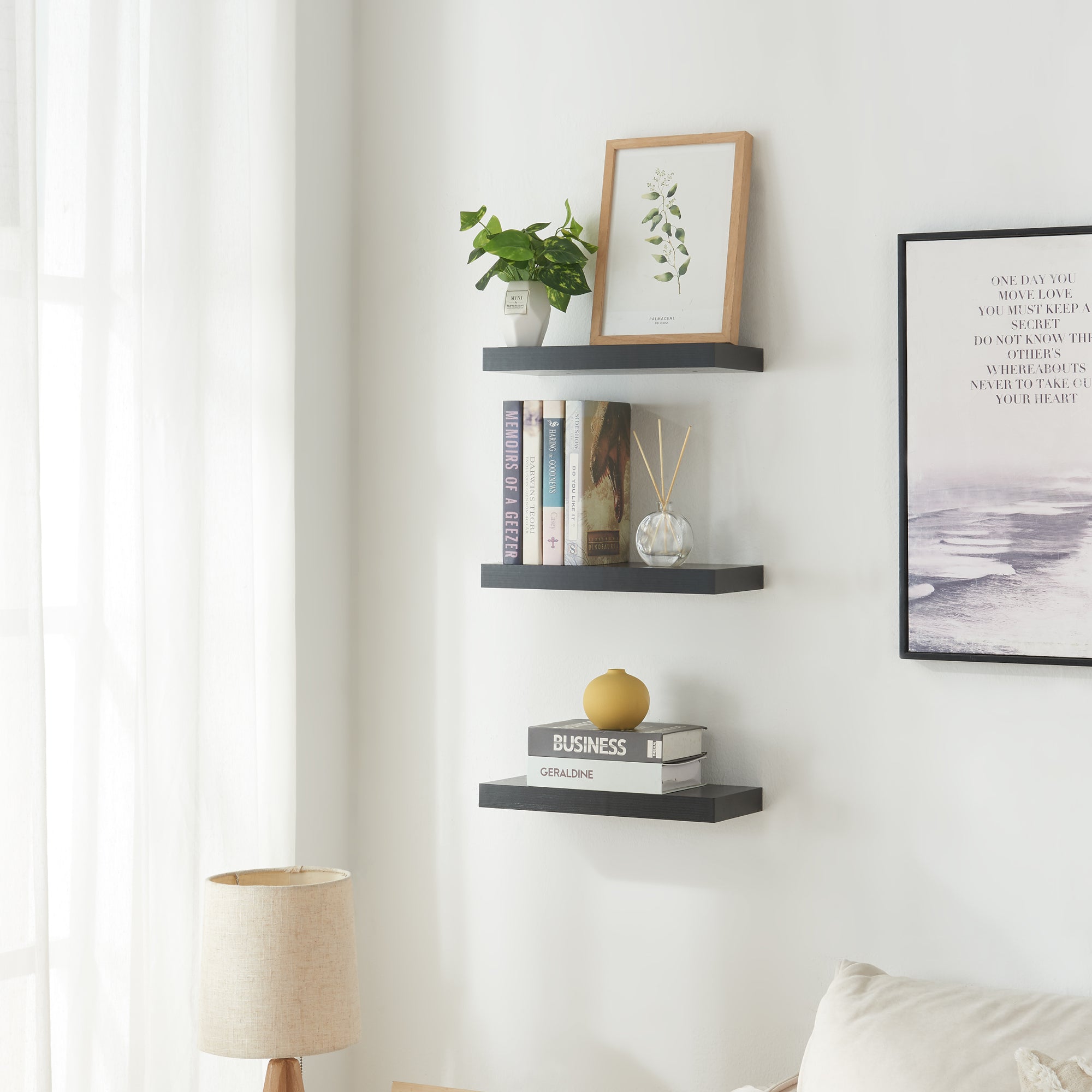 Set Stranda 2 Mensole da Muro 38x17x4 cm Nero [en.casa]