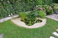 Laghetto guadalupa 197x126x50 capacità  lt 440