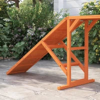 Rampa per l'agilità del cane, percorso, antiscivolo, resistente alle intemperie, legno, 325 x 55 x 69 cm, Arancione