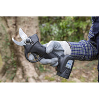 FORBICI POTATORE A BATTERIA CESOIA ELETTRICA POTATURA WORK-IT 30 PLUS AUSONIA