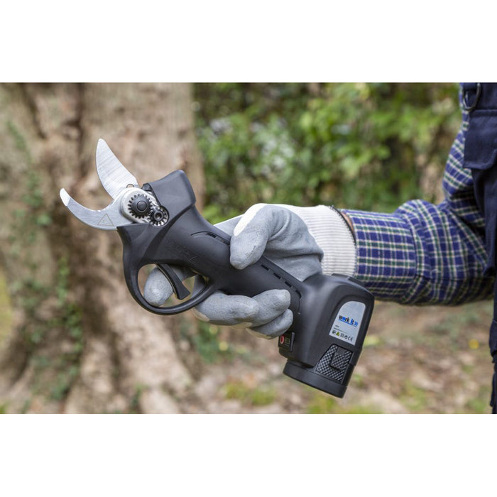 FORBICI POTATORE A BATTERIA CESOIA ELETTRICA POTATURA WORK-IT 30 PLUS AUSONIA