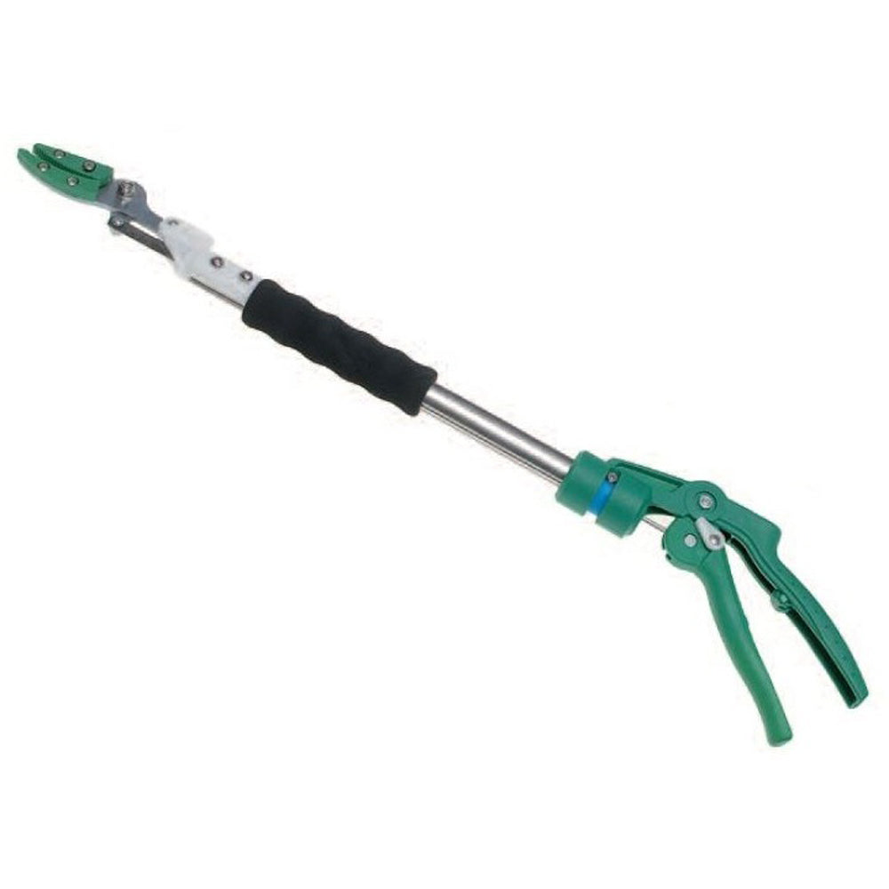 FORBICI POTA FORBICE POTATURA RACCOGLI FRUTTA ASPARAGI ASTA FISSA 60cm VALGARDEN VGA AS60