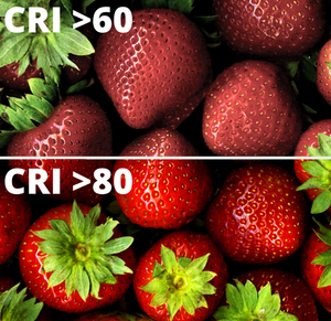 Striscia led multicolore rgb 14.4 watt metro 60 led metro 12 volt ip54 optonica