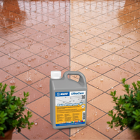 Trattamento idrorepellente ultracare rain protector w 1 litro *** pezzi 6 pz, confezione 1