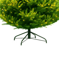 Rockfeller - Albero di Natale Tradizionale con 1000 Luci LED in PE e PVC Ø160x210H cm, 2184 Punte