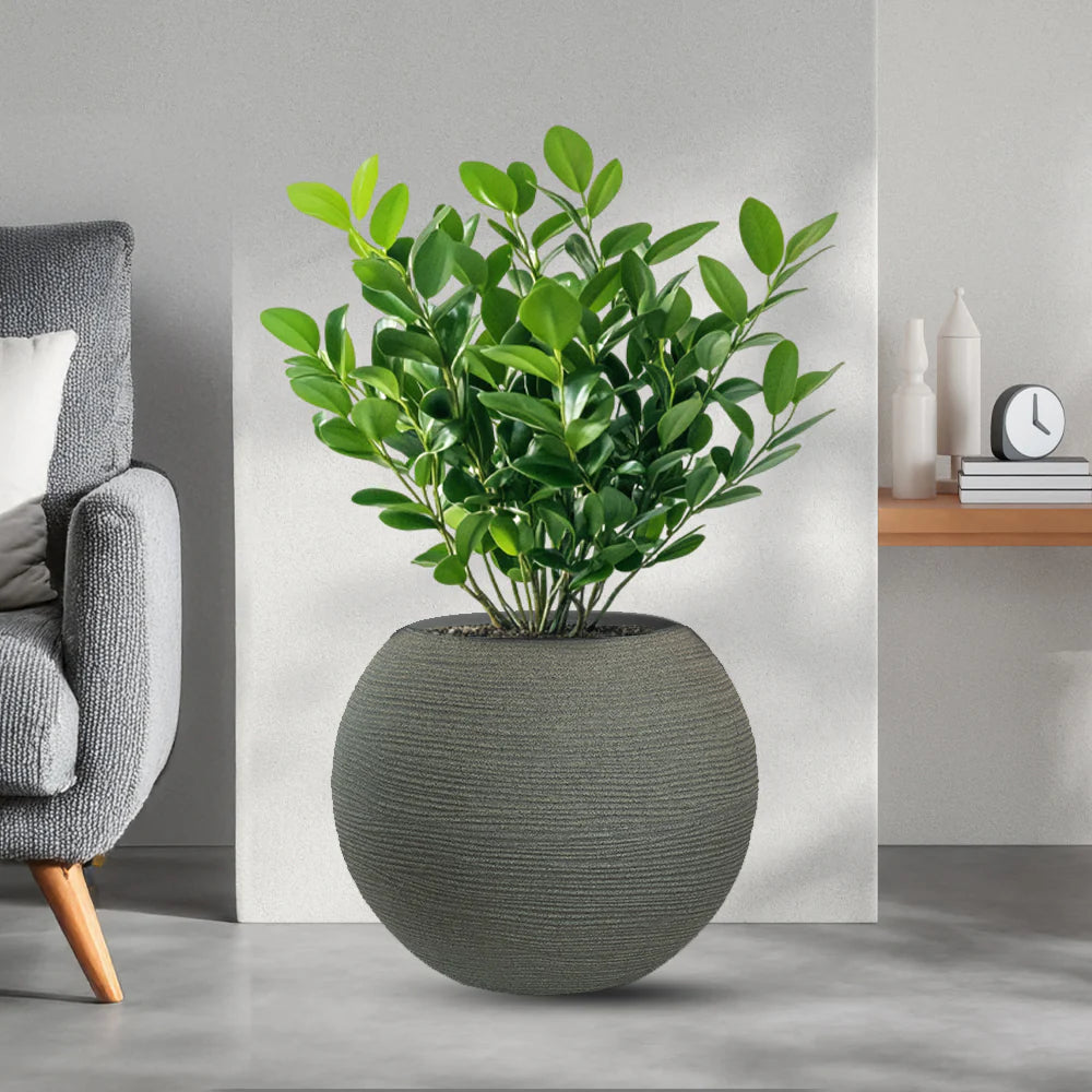Vaso in resina da esterno interno per piante tondo a sfera di design d.40x33h Botticelli Verde