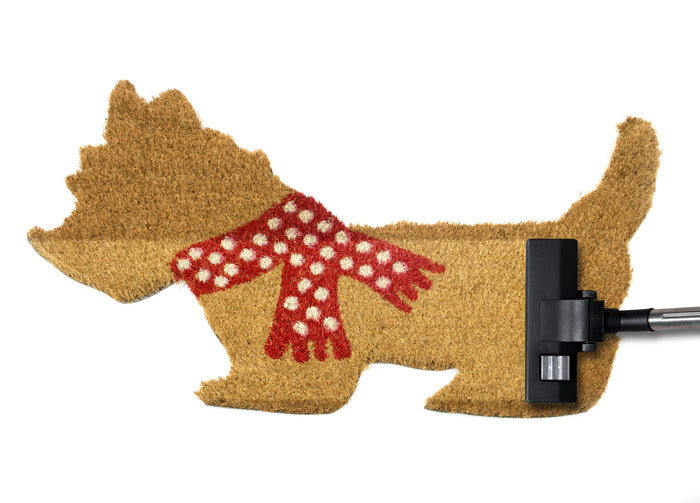 Zerbino Entrata Ingresso Esterno Antiscivolo Cocco Animal Dog